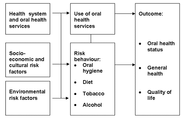 Oral Health Risk Factors